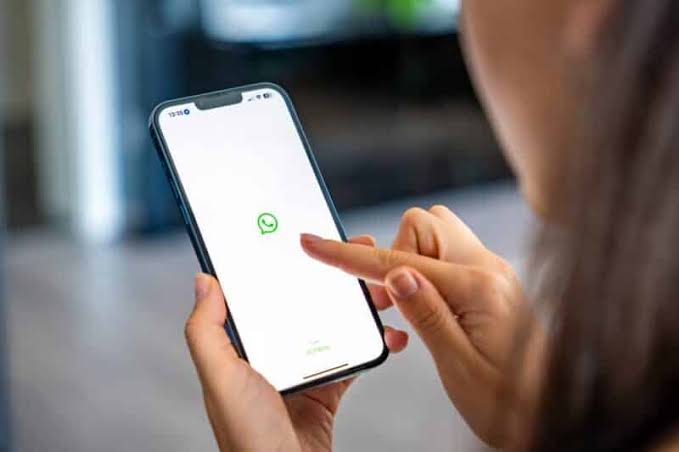 Guia visual sobre privacidade no WhatsApp